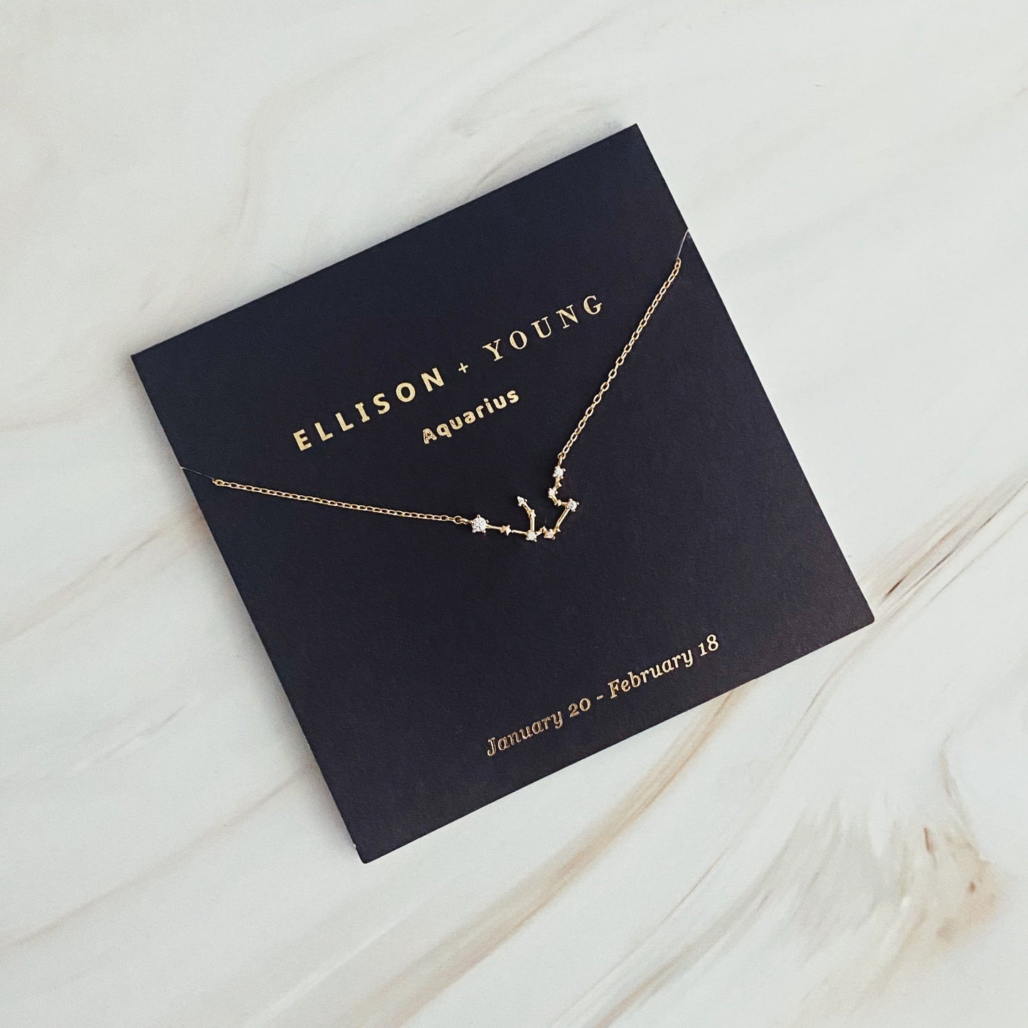 Gold necklace from the Zodiac Collection on a black card, labeled Ellison + Young, with a background of pink, orange, and brown paper.
