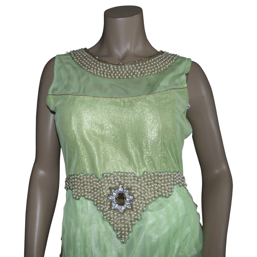 A mannequin displays a Chiros Light Green Embroidered Floor Length Gown, featuring a sleeveless design with gold trim and beaded embellishments on the neckline and waist.